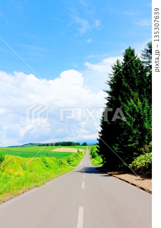 北海道紀行　　　8月の就実の丘 135307639