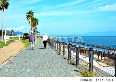 海岸の散歩道 135307804