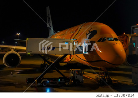 成田空港 夜のANAフライングホヌ 駐機中の飛行機  135307814