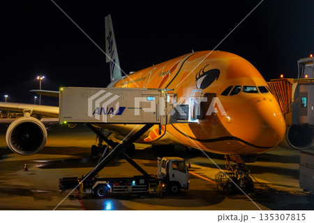 成田空港 夜のANAフライングホヌ 駐機中の飛行機  135307815