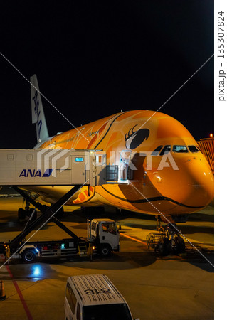 成田空港 夜のANAフライングホヌ 駐機中の飛行機  135307824