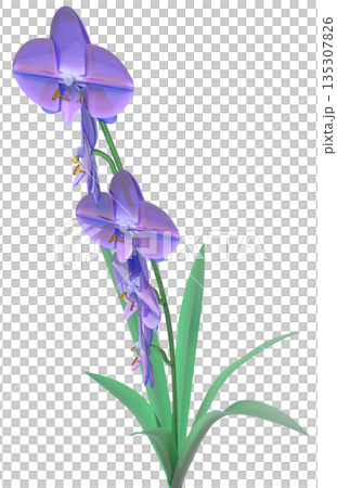 玻璃蘭花 135307826