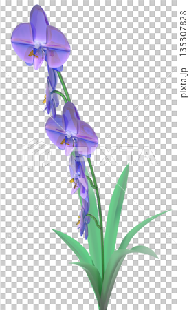 玻璃蘭花 135307828