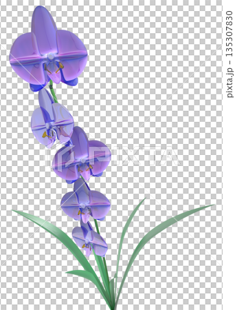 玻璃蘭花 135307830