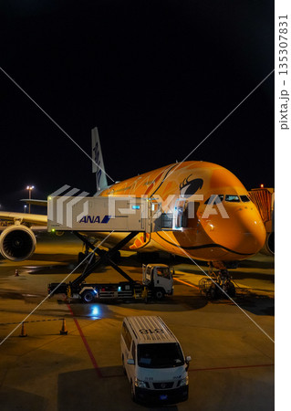成田空港 夜のANAフライングホヌ 駐機中の飛行機  135307831