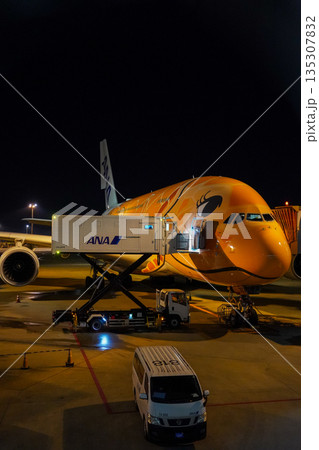 成田空港 夜のANAフライングホヌ 駐機中の飛行機  135307832