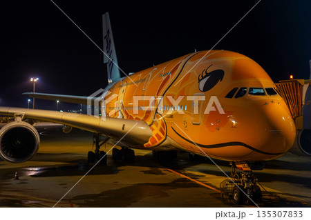 成田空港 夜のANAフライングホヌ 駐機中の飛行機  135307833