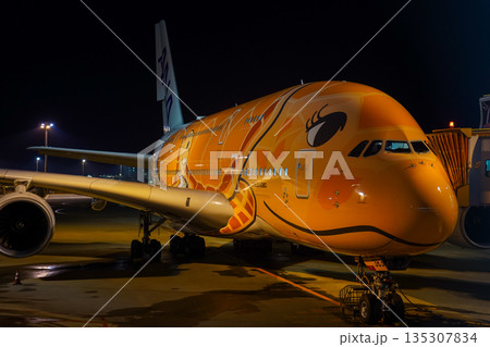 成田空港 夜のANAフライングホヌ 駐機中の飛行機  135307834