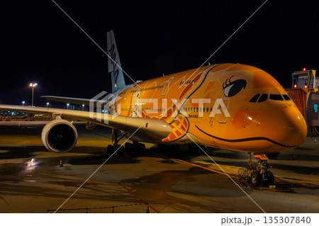 成田空港 夜のANAフライングホヌ 駐機中の飛行機  135307840