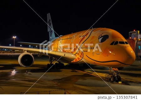 成田空港 夜のANAフライングホヌ 駐機中の飛行機  135307841