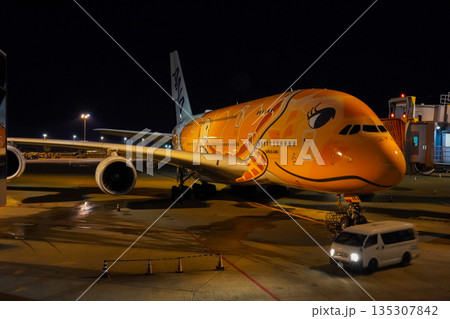 成田空港 夜のANAフライングホヌ 駐機中の飛行機  135307842