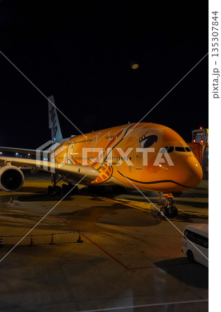 成田空港 夜のANAフライングホヌ 駐機中の飛行機  135307844