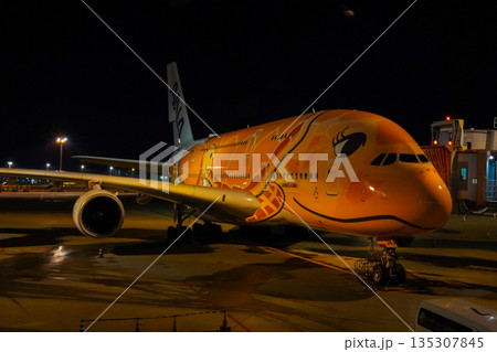 成田空港 夜のANAフライングホヌ 駐機中の飛行機  135307845