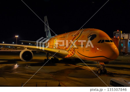 成田空港 夜のANAフライングホヌ 駐機中の飛行機  135307846