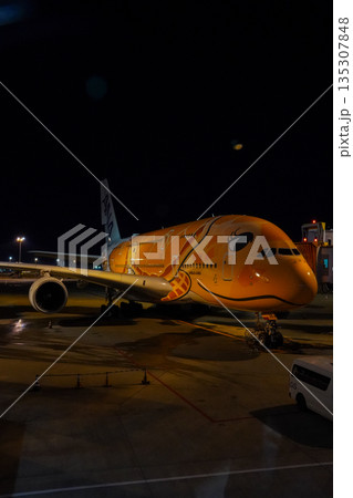 成田空港 夜のANAフライングホヌ 駐機中の飛行機  135307848