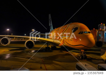 成田空港 夜のANAフライングホヌ 駐機中の飛行機 成田空港 夜のANAフライングホヌ 駐機中の飛行機 135307849