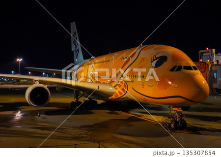成田空港 夜のANAフライングホヌ 駐機中の飛行機  135307854