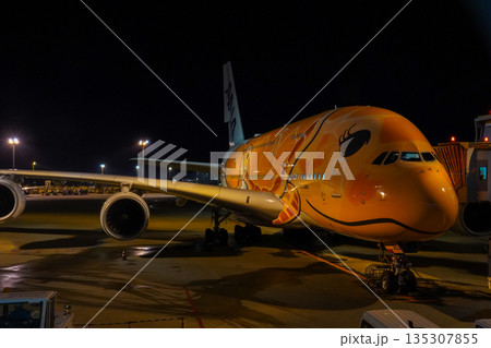 成田空港 夜のANAフライングホヌ 駐機中の飛行機  135307855