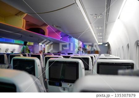 ANA　フライングホヌ機内写真 135307879