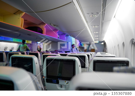 ANA　フライングホヌ機内写真 135307880