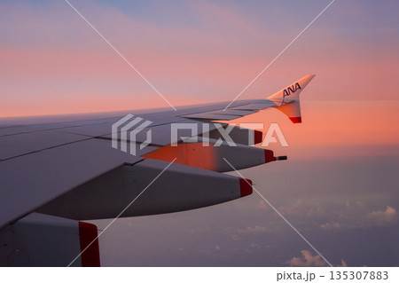 ANA　フライングホヌからの機窓風景 135307883