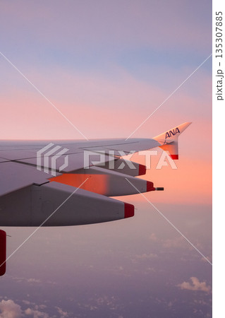 ANA　フライングホヌからの機窓風景 135307885