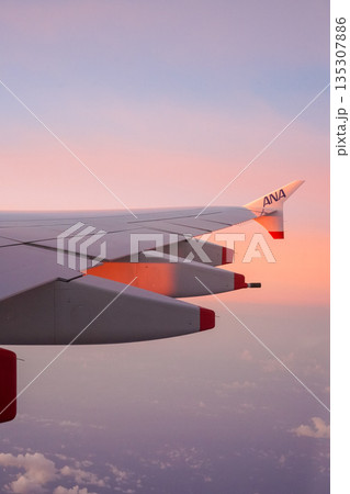 ANA フライングホヌからの機窓風景 ANA フライングホヌからの機窓風景 135307886