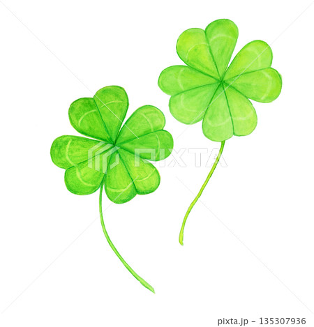 手描き水彩の四葉のクローバー2本のカットイラスト 幸運と希望のモチーフ 手描き水彩の四葉のクローバー2本のカットイラスト 幸運と希望のモチーフ 135307936