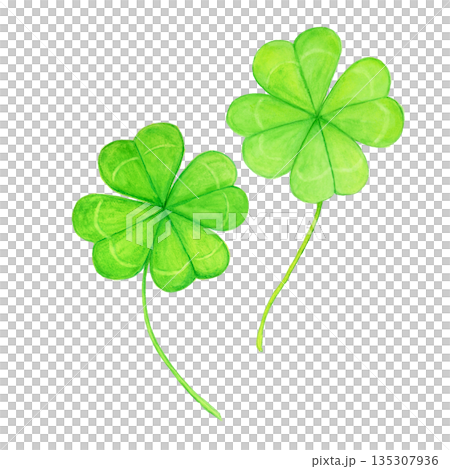 手描き水彩の四葉のクローバー2本のカットイラスト 幸運と希望のモチーフ 手描き水彩の四葉のクローバー2本のカットイラスト 幸運と希望のモチーフ 135307936