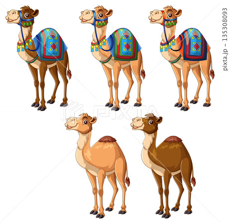 Cartoon Camels with Colorful Saddles in Vector Illustration 135308093