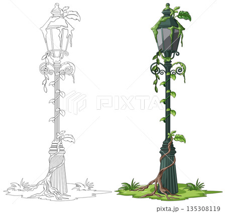 Overgrown Vintage Street Lamp with Creeping Vines Illustration 135308119