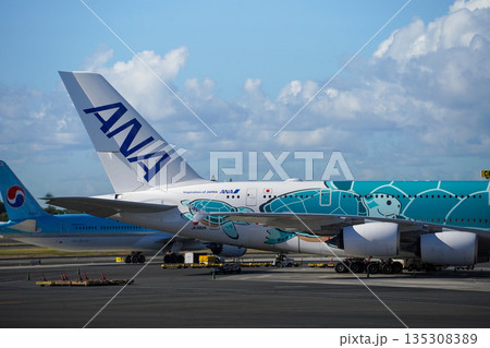 ハワイ 駐機中のANAフライングホヌ ハワイ 駐機中のANAフライングホヌ 135308389