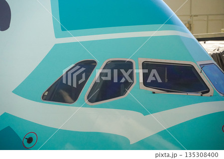 ハワイ　駐機中のANAフライングホヌ 135308400