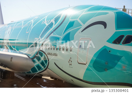 ハワイ　駐機中のANAフライングホヌ 135308401