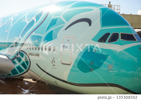 ハワイ 駐機中のANAフライングホヌ ハワイ 駐機中のANAフライングホヌ 135308502