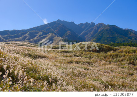 熊本県の阿蘇山、釣井尾根登山口付近から望む根子岳 135308877