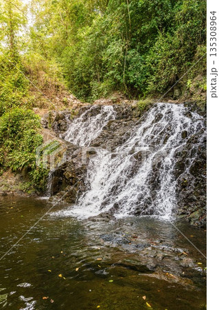Waterfall in Panamanian rainforest Waterfall in Panamanian rainforest 135308964