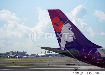 ハワイ ホノルル国際空港 駐機中の飛行機 空港風景 旅行 イメージ ハワイ ホノルル国際空港 駐機中の飛行機 空港風景 旅行 イメージ 135309016