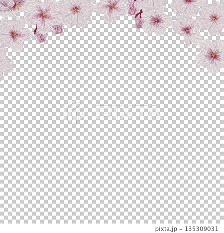 [Cherry Blossom Frame] Hand-embroidered illustration material 135309031