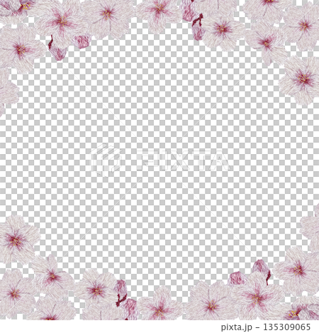 【桜の花のフレーム】手刺繍イラスト素材 135309065