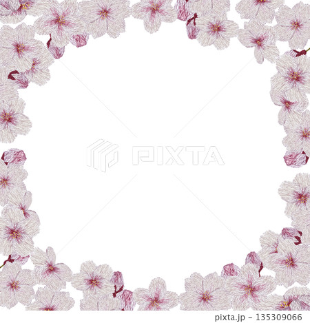 【桜の花のフレーム】手刺繍イラスト素材 135309066