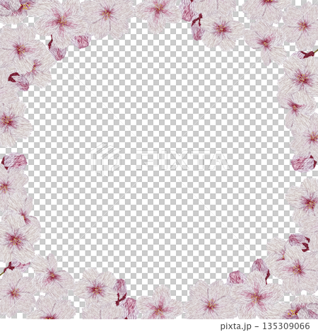 【桜の花のフレーム】手刺繍イラスト素材 135309066