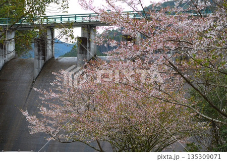 伊佐市の十曽池公園 135309071