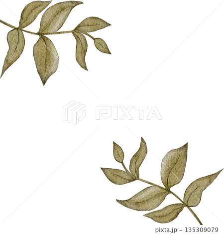 Leaf frame horizontal border, green leaves, watercolor hand-painted illustration isolated on white, botanical design ideal for wedding stationery, invitations, greeting cards, branding 135309079