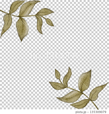 Leaf frame horizontal border, green leaves, watercolor hand-painted illustration isolated on white, botanical design ideal for wedding stationery, invitations, greeting cards, branding Leaf frame horizontal border, green leaves, watercolor hand-painted illustration isolated on white, botanical design ideal for wedding stationery, invitations, greeting cards, branding 135309079