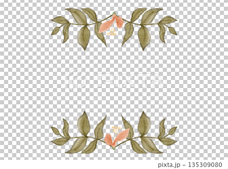 Floral frame horizontal border, peach blossoms, green leaves, watercolor hand-painted illustration isolated on white, botanical design ideal for wedding stationery, invitations, greeting cards Floral frame horizontal border, peach blossoms, green leaves, watercolor hand-painted illustration isolated on white, botanical design ideal for wedding stationery, invitations, greeting cards 135309080