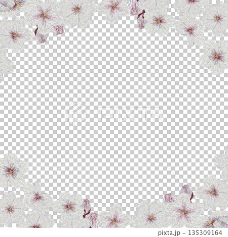 【桜の花のフレーム】手刺繍イラスト素材 135309164