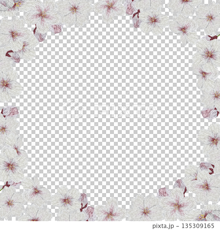 【桜の花のフレーム】手刺繍イラスト素材 135309165