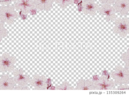【桜の花のフレーム】手刺繍イラスト素材 135309264