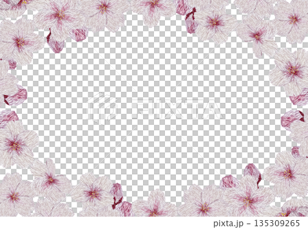 【桜の花のフレーム】手刺繍イラスト素材 135309265